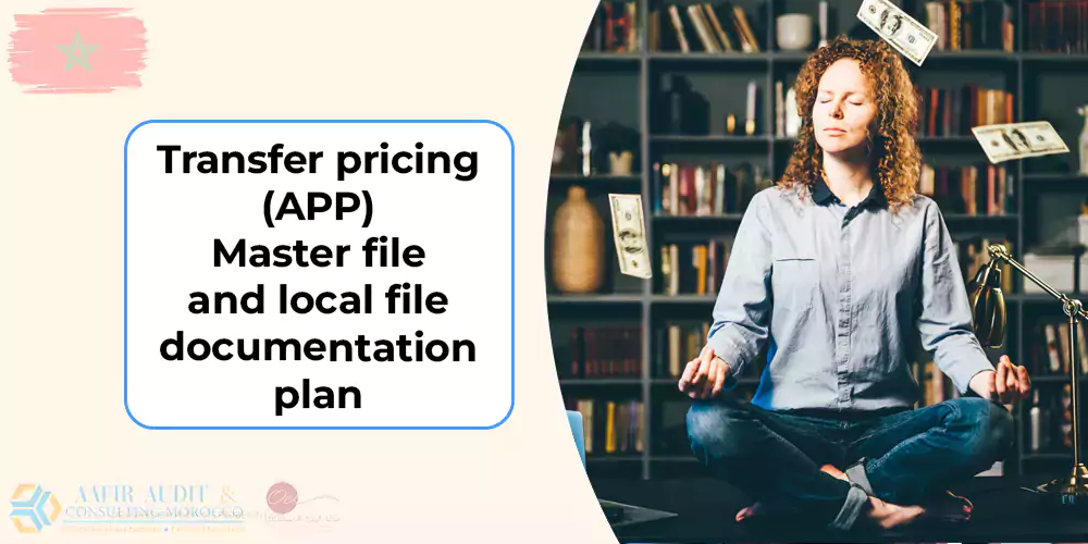 Transfer pricing (APP) – Master file and local file documentation plan